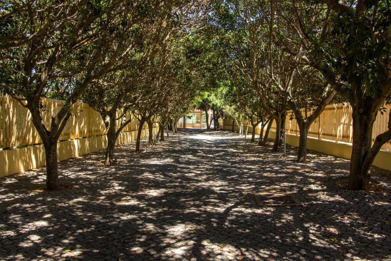 Barracuda A14 Apartman Albufeira Kültér fotó